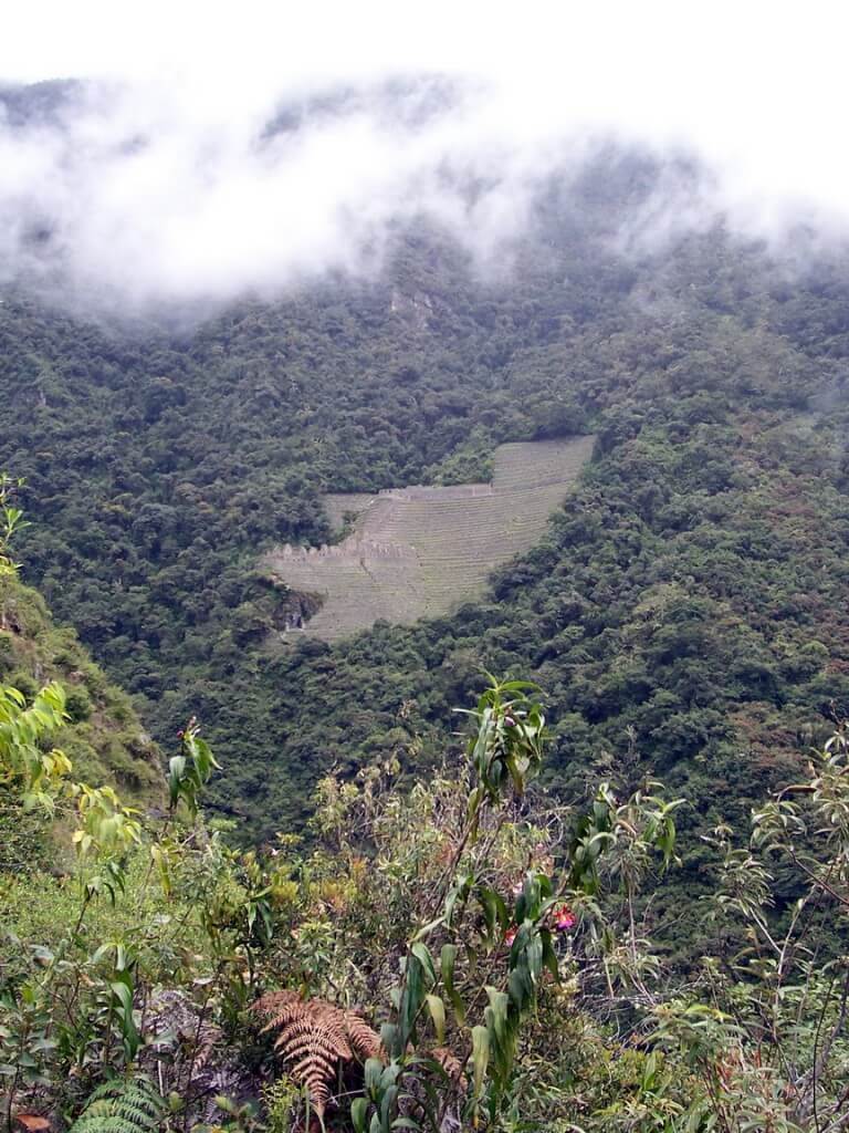 Inca ruins of Wiñay Wayna on the side of a hill on the Inca trail in Peru, South America