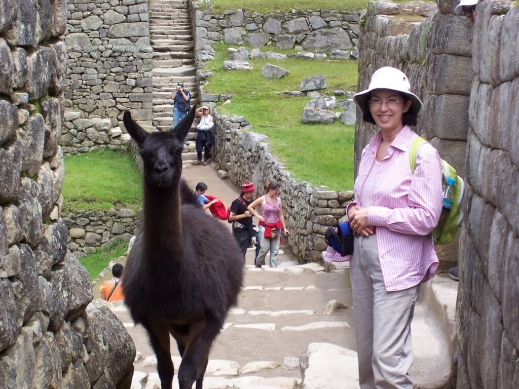 An image of Jean standing beside a Llama at Machu Picchu at Urubamba Province, Peru.