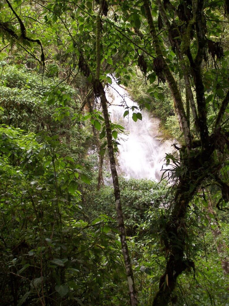 Waterfalls near the Wiñay Wayna ruins on the Inca Trail in Peru, South America