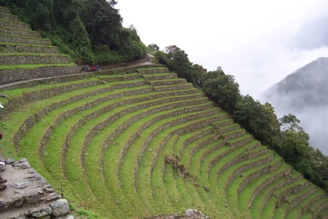 Upper terrace at the Wiñay Wayna ruins on the Inca Trail in Peru, South America
