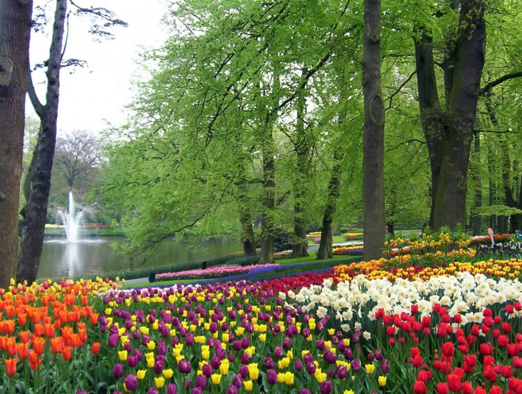 An image of tulip beds beside a pond at Keukenhof Gardens near Lisse in the Netherlands. Photography by Frame To Frame - Bob and Jean.