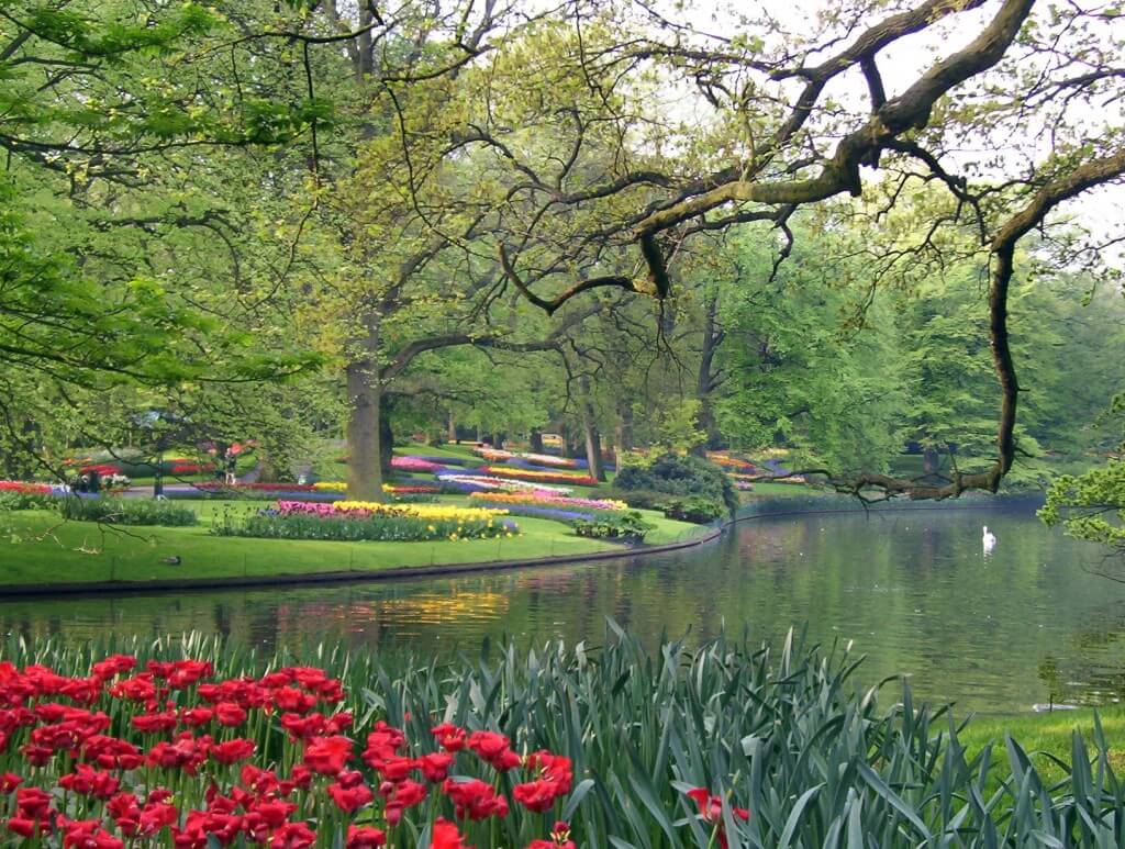 An image of tulip beds beside a larger pond at Keukenhof Gardens near Lisse in the Netherlands. Photography by Frame To Frame - Bob and Jean.