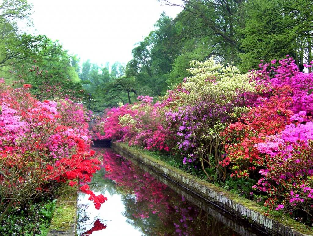 An image of a reflection pool surrounded by Azaleas at Keukenhof Gardens in the Netherlands. Photography by Frame To Frame - Bob and Jean.