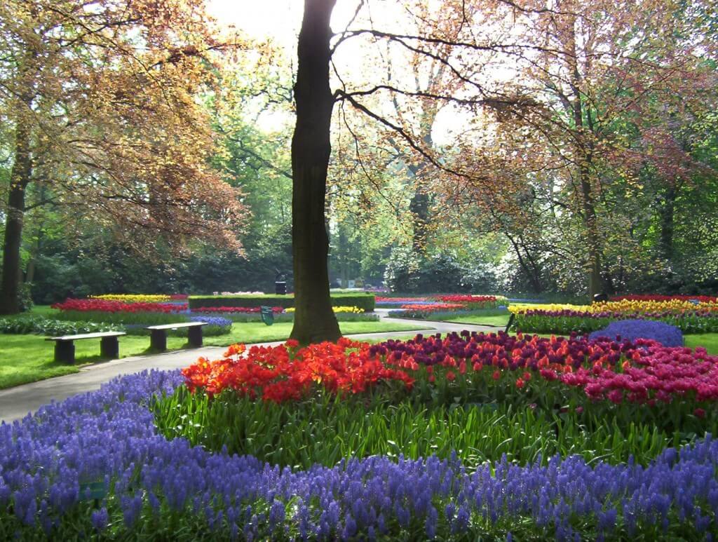An image of the tulip and flower beds along a walkway at Keukenhof Gardens in Lisse, the Netherlands. Photography by Frame To Frame - Bob and Jean.