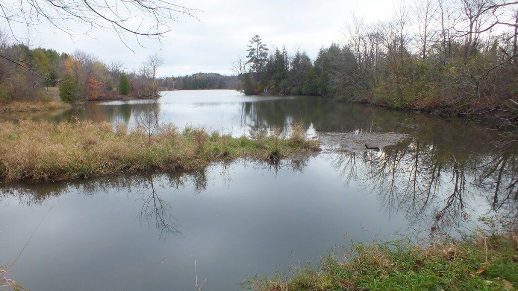 Milne-Dam-Conservation-Park-Markham-Ontario