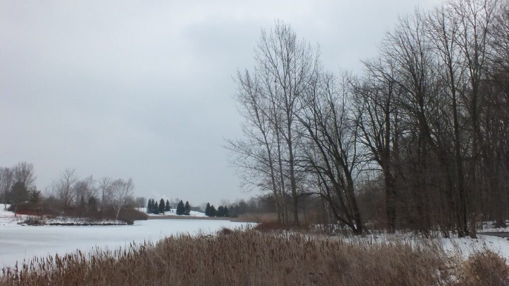 Milliken Park, Toronto, Ontario