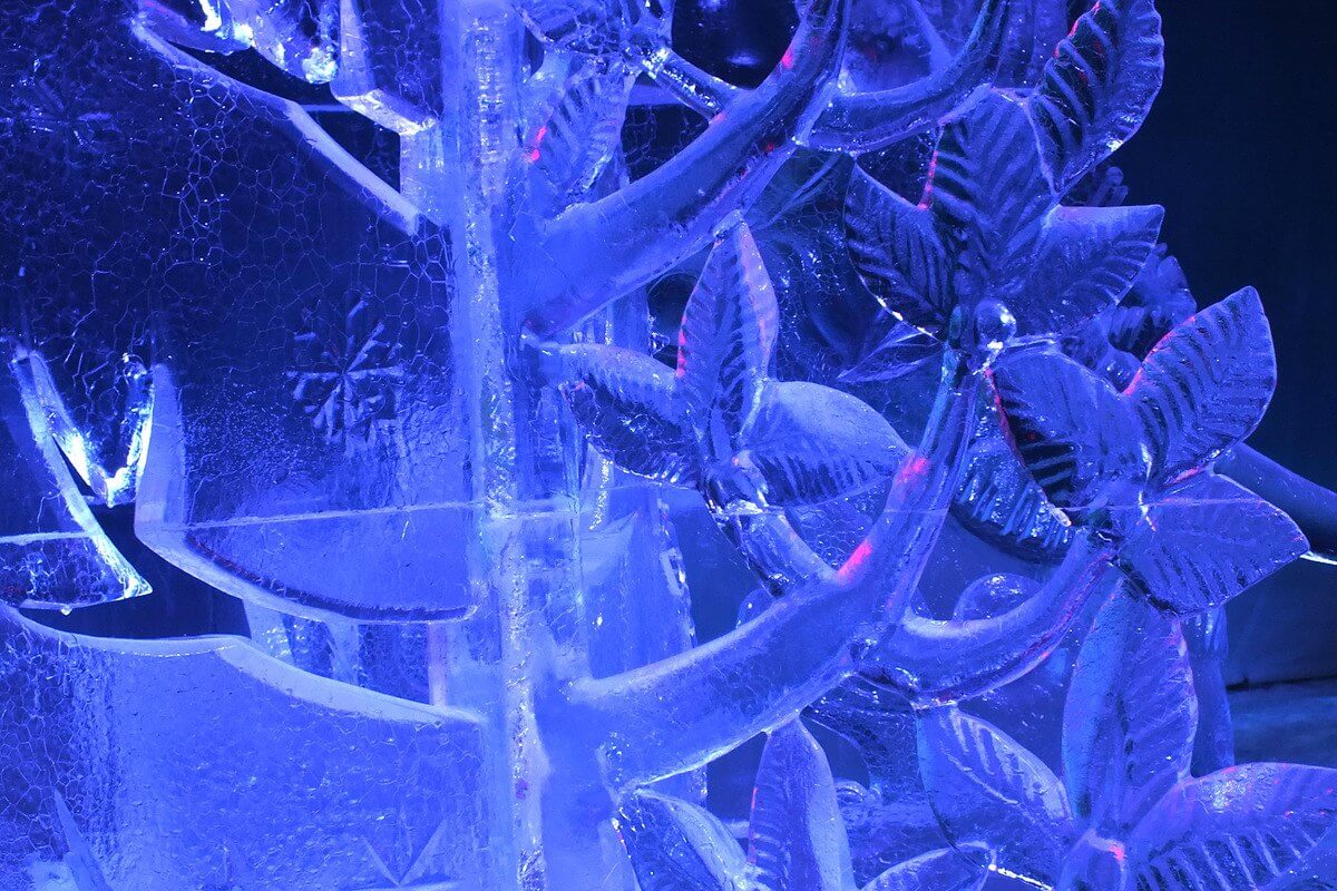 3rd place Ice Sculpture contest winner - leaves - Winterlude - Ottawa