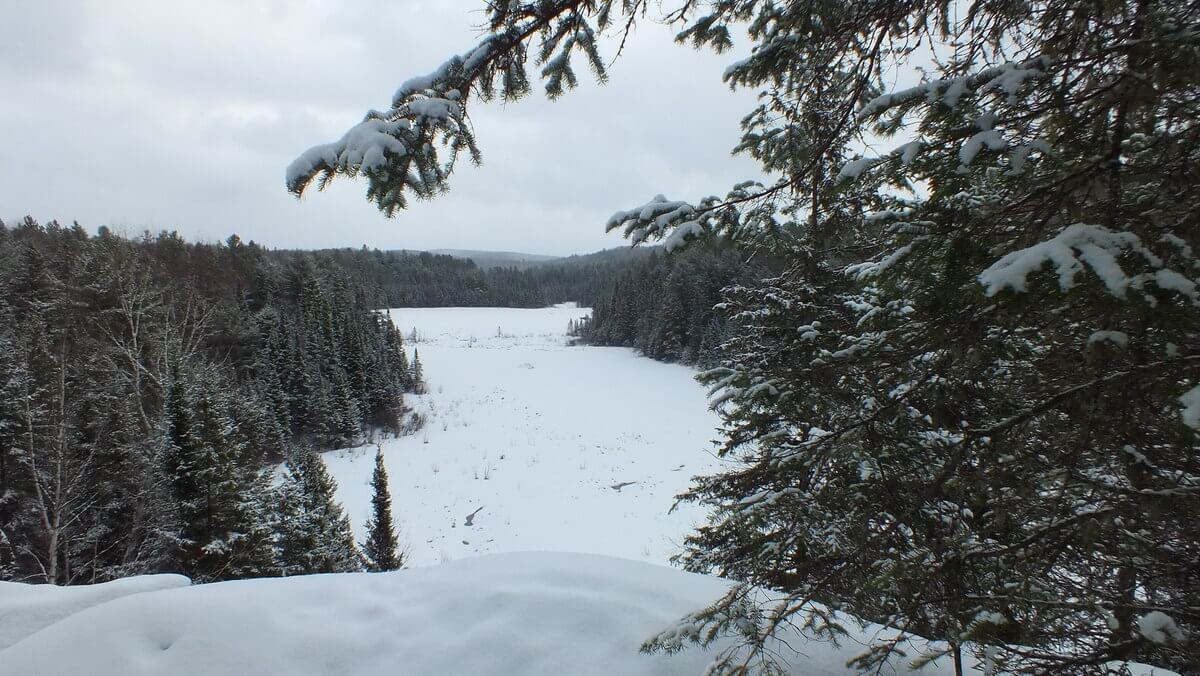 Beaver Pond from the trail lookout on the Beaver Pond Trail in Algonquin Provincial Park