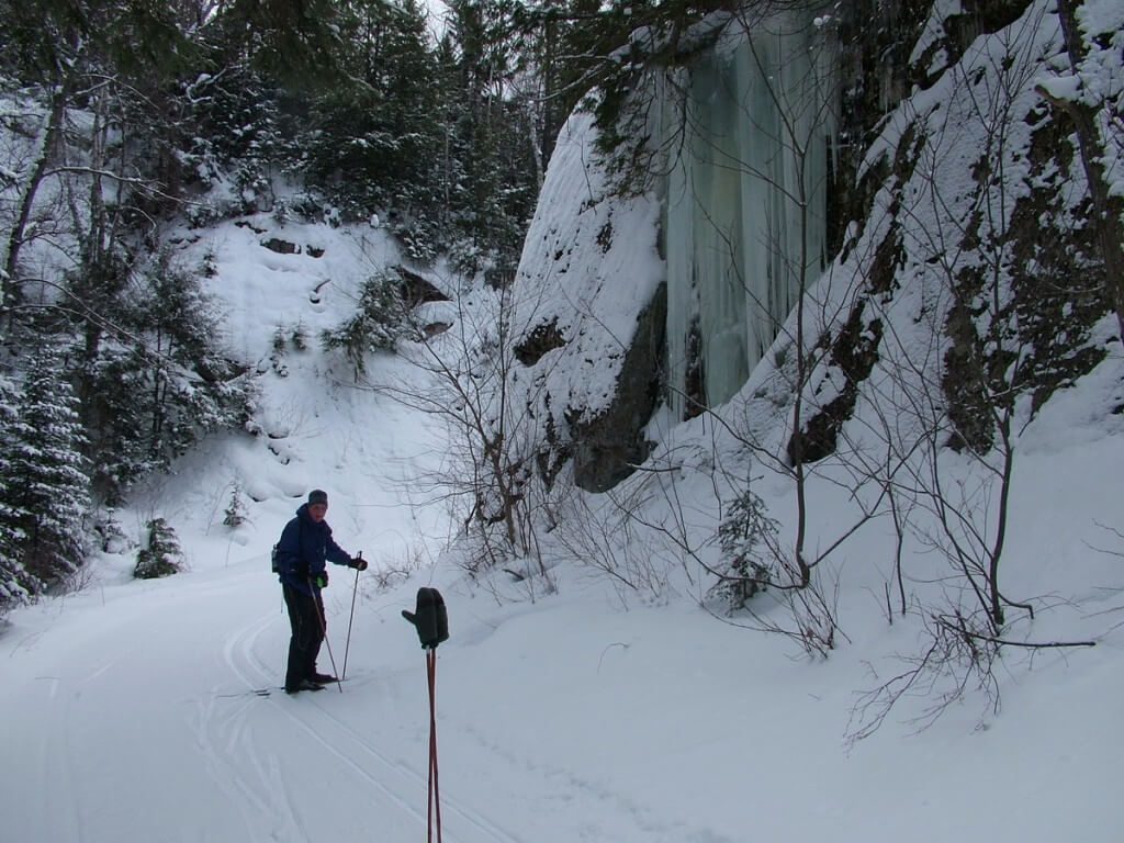 Bob, leaf lake trail, Algonquin Provincial Park, Ontario, Canada