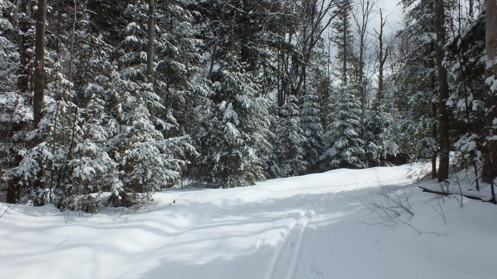 Leaf Lake ski trail, Algonquin Provincial Park, Ontario, Canada