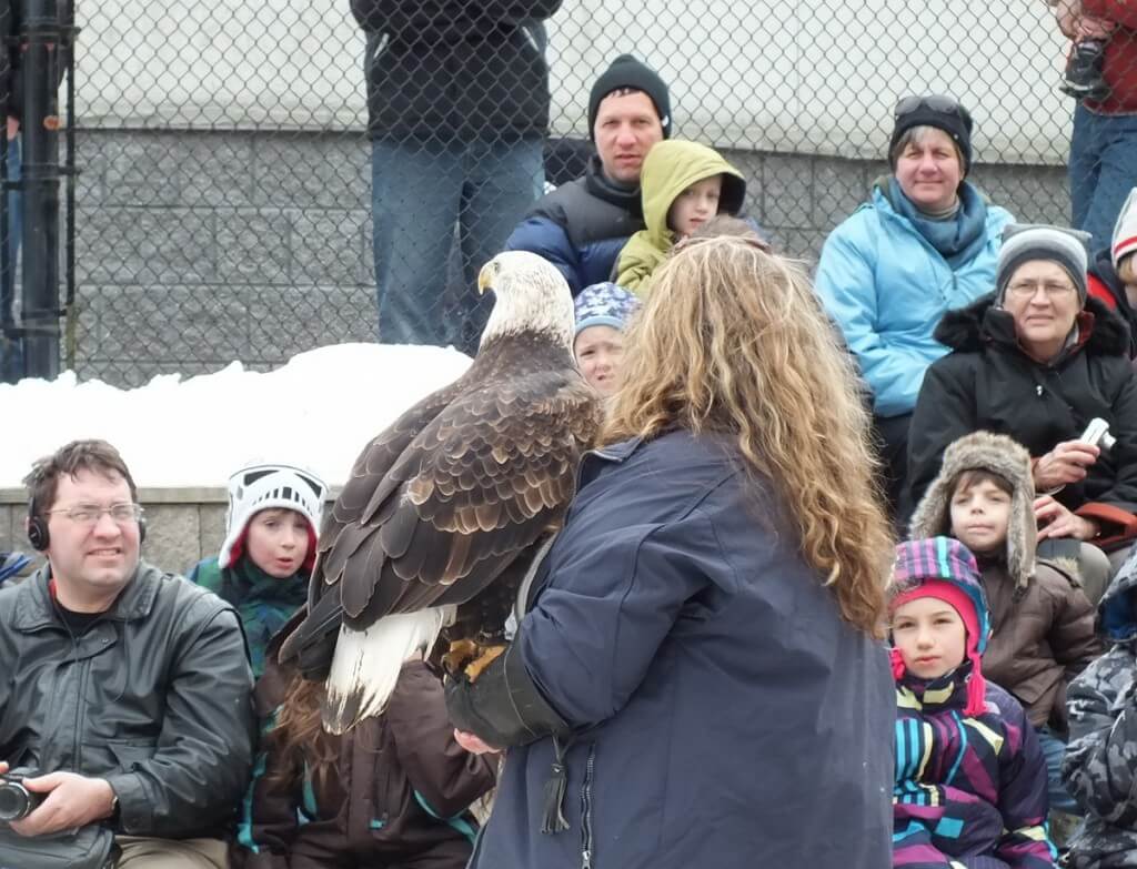 Mountsberg Raptor Centre - people