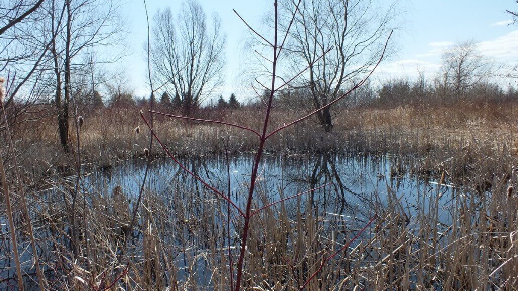 colonel samuel smith park, etobicoke, ontario
