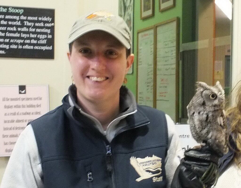 Sandra holds a Eastern Screech Owl on her hand - Mountsberg Raptor Centre