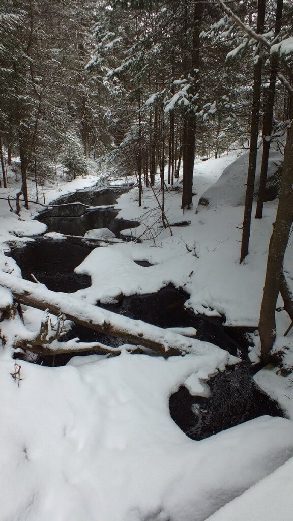 melting stream on the Beaver Pond Trail in Algonquin Provincial Park