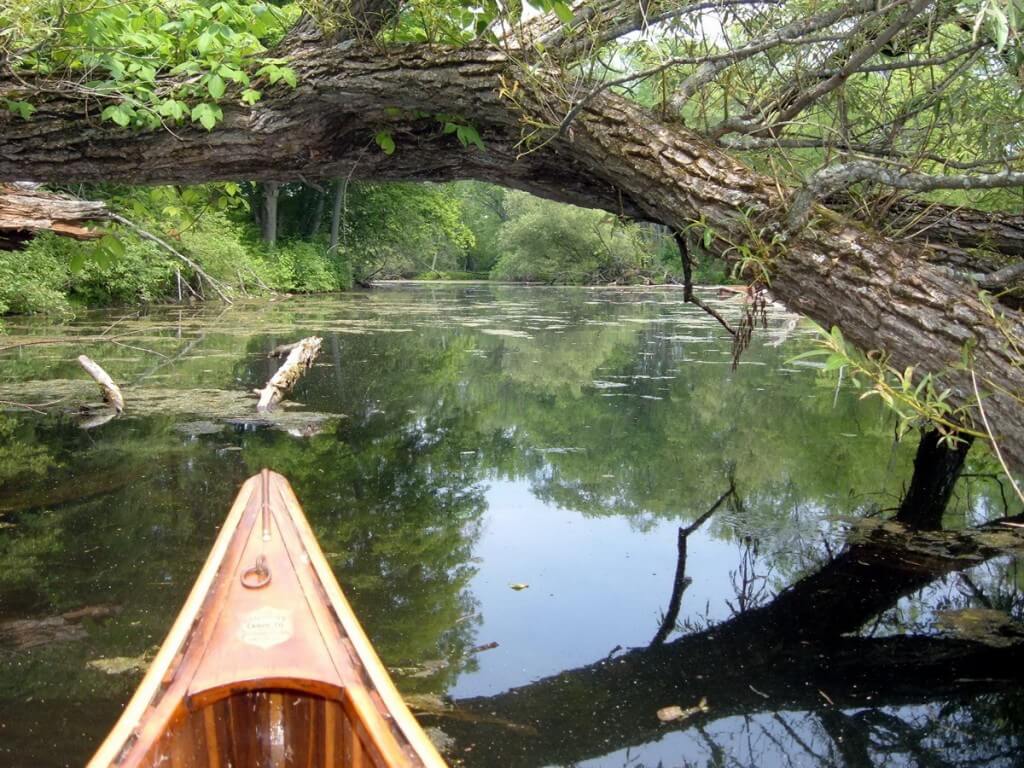 Canoeing on the Otonabee River - Ontario