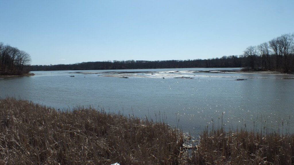 Cootes Paradise Marsh - Hamilton - Ontario