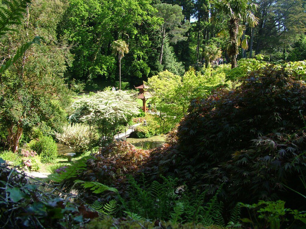 Japanese Garden - Powerscourt - Ireland