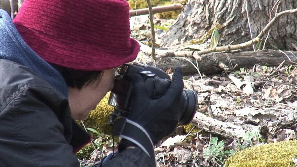 Jean takes pictures of plants at Beamer Memorial Conservation Area, Grimsby
