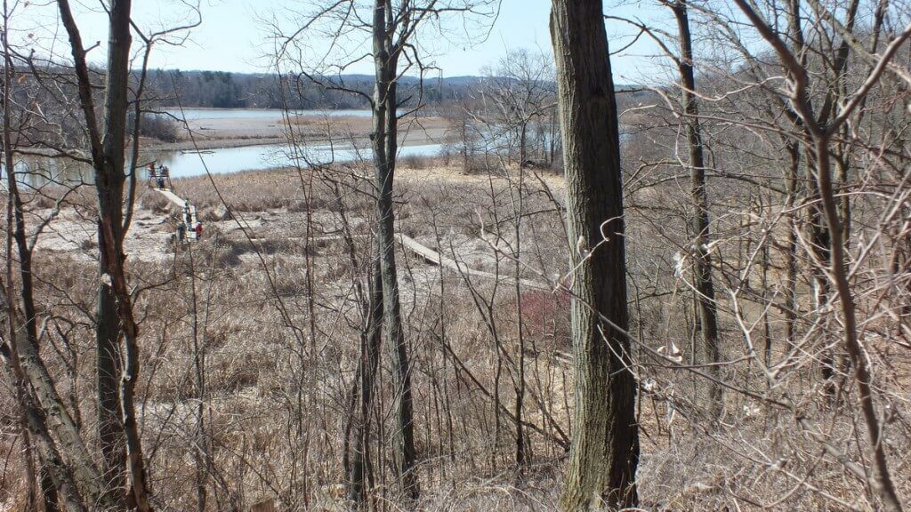 Marsh boardwalk - Cootes Paradise Marsh - Hamilton - Ontario