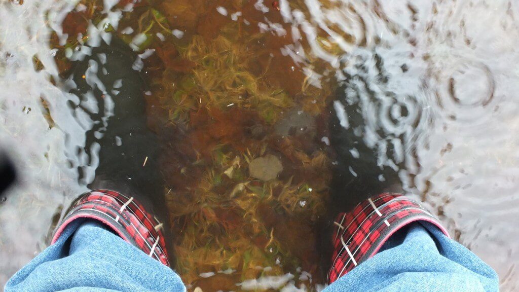 Oxtongue Lake flooding - flood waters almost to top of my rubber boots - April 20 2013