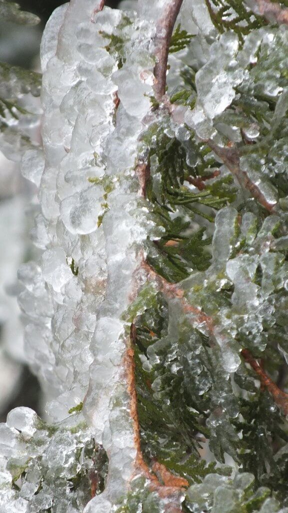 Ragged Falls - closeup of icicles above river - Oxtongue River - Ontario - April 20 2013