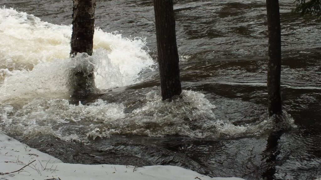 Ragged Falls - flooded trees - Oxtongue River - Ontario - April 20 2013