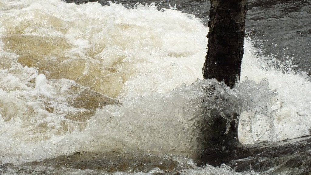 Ragged Falls - foaming water around flooded tree - Oxtongue River - Ontario - April 20 2013
