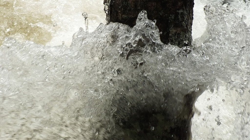 Ragged Falls - foaming water with tree - Oxtongue River - Ontario - April 20 2013