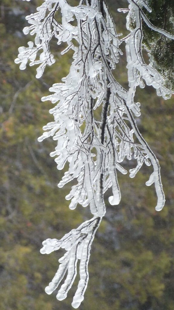 Ragged Falls - icicles above river - Oxtongue River - Ontario - April 20 2013