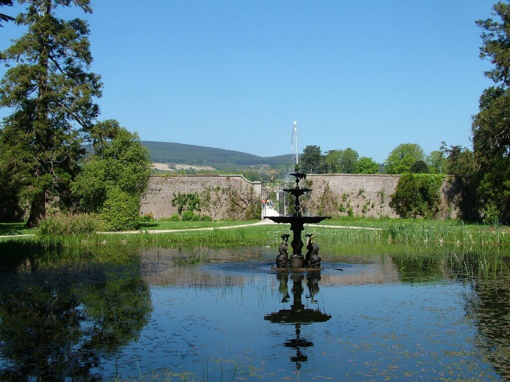 dolphin pond - powerscourt - wicklow - ireland