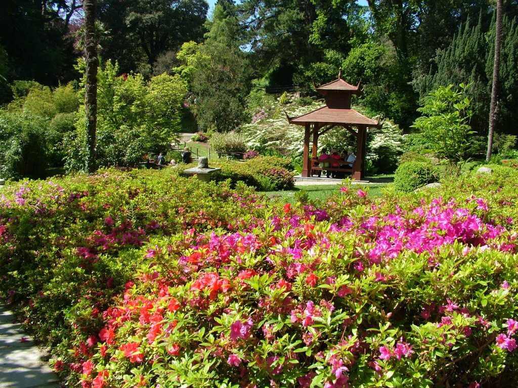 An image of the Rhododendron Garden at Powerscourt House and Gardens in Enniskerry, County Wicklow, Ireland. Photography by Frame To Frame - Bob and Jean.