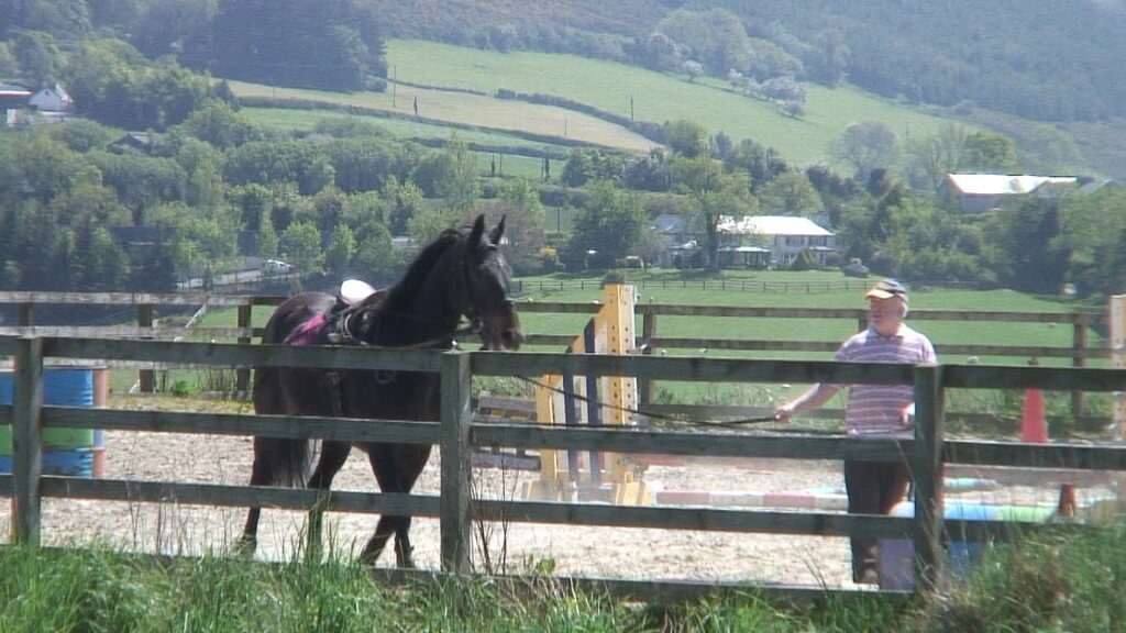 Chris works horse - Enniskerry - wicklow - ireland