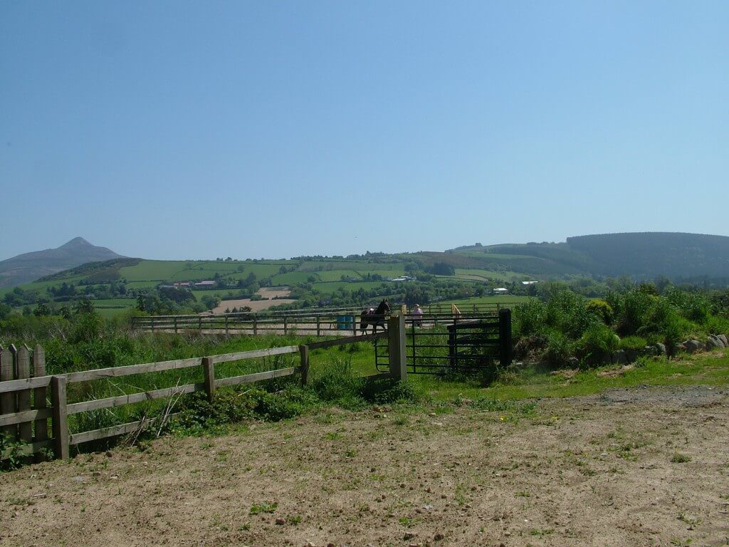 Chris works race horse in paddock - Onagh Farm - Enniskerry - Wicklow - Ireland