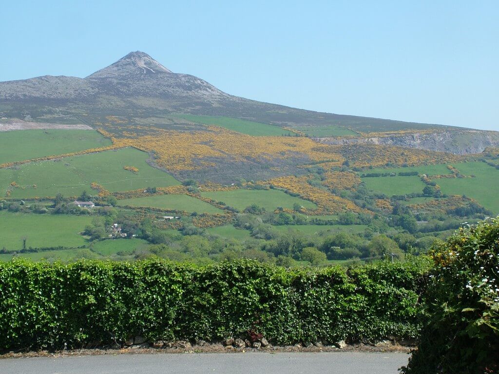 Sugar Loaf Mountain with Yellow Gorse growing on its sided - Enniskerry - Wicklow - Ireland