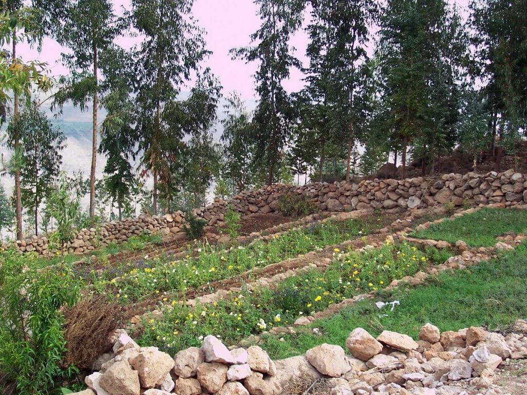 Village gardens of Nuevo Santiago, Peru