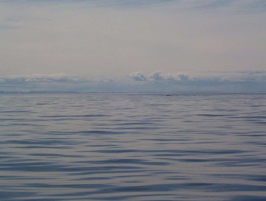 arctic ocean - ripples from whale - off baffin island - nunavut