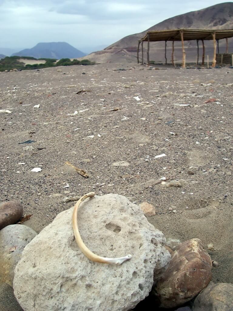 A bone sitting on rock at the Chauhilla Cemetery near Nazca in Peru, South America.