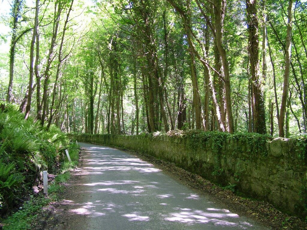 country road with stone wall - near Oonagh Bridge - Enniskerry - Wicklow - Ireland