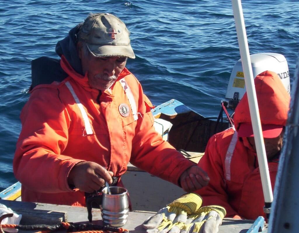 drinking hot water - off baffin island - nunavut
