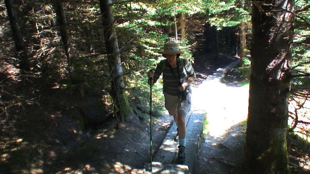 jean climbs the 600 steps to spinc hiking trail - wicklow mountains national park - ireland