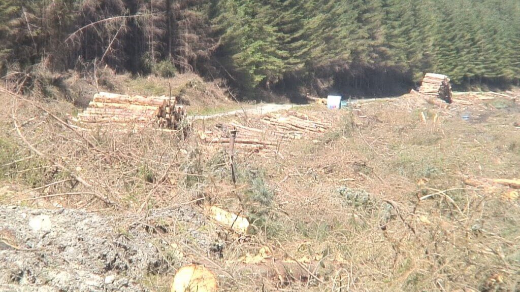 logging piles along the wicklow way hiking trail - wicklow mountains - ireland