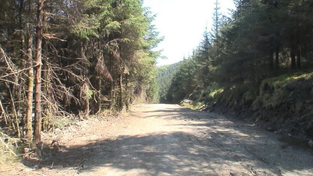 logging road along the wicklow way hiking trail - wicklow mountains - ireland