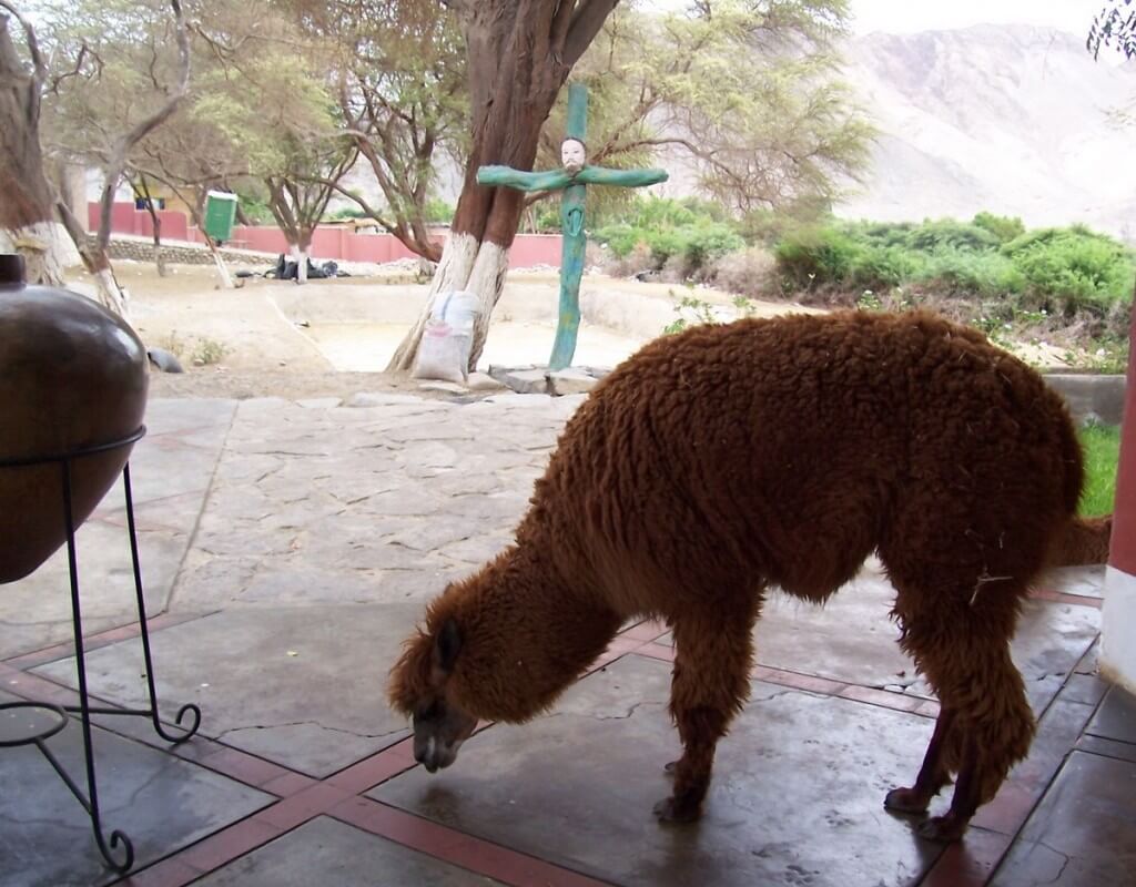 Gravesite at the Maria Reiche museum near Nazca in Peru 