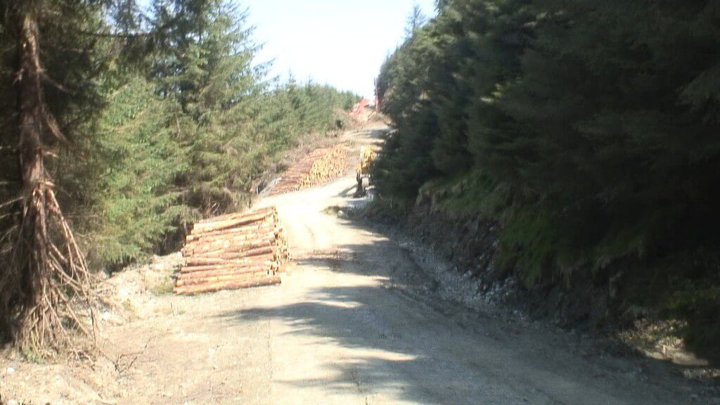 piles of cut trees - wicklow mountains - ireland
