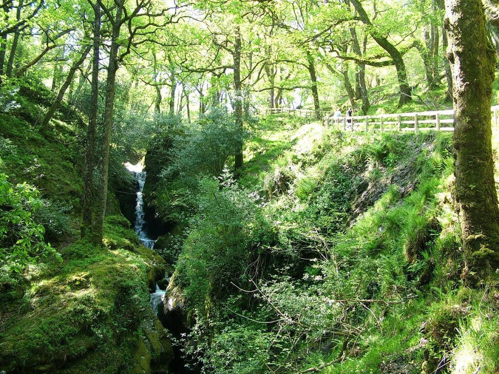 An image of the Poulanass Waterfall beside a hiking trail in Wicklow Mountains National Park, County Wicklow, Ireland. Photography by Frame To Frame - Bob and Jean.
