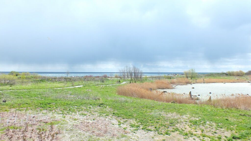 tommy thompson park - looking towards lake ontario - Toronto - Ontario