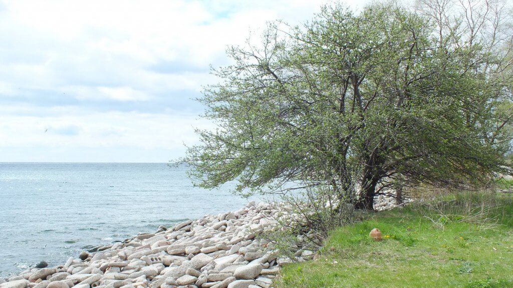 tommy thompson park - looking towards lake ontario --- Toronto - Ontario