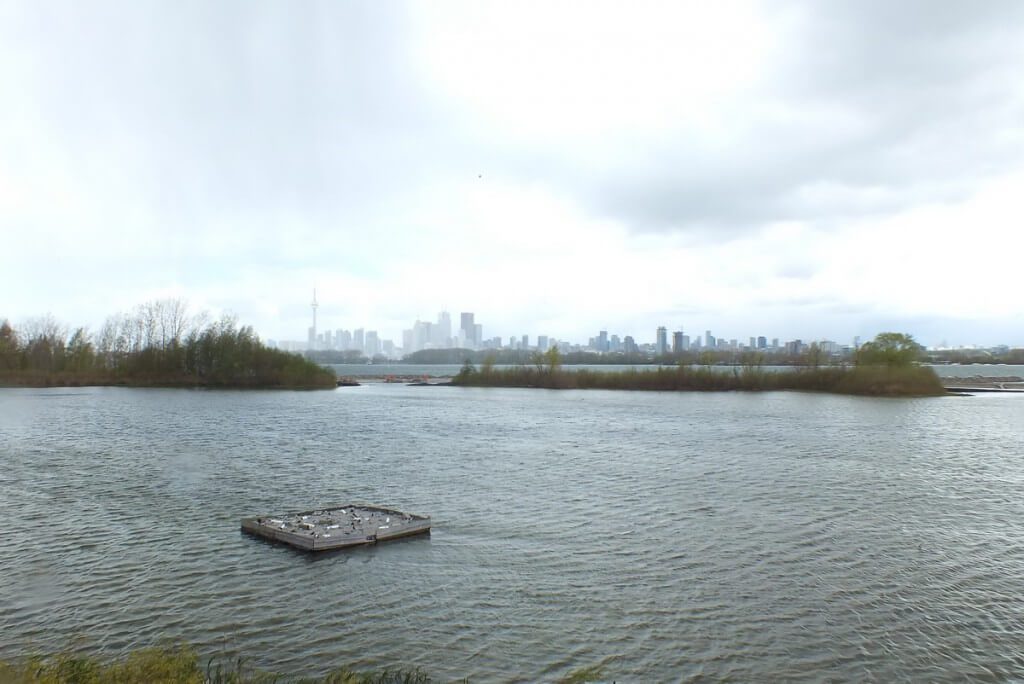 toronto skyline - ontario