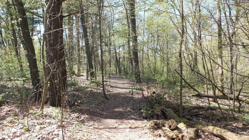 trail through forest, Thicksons Woods, Whitby, Ontario