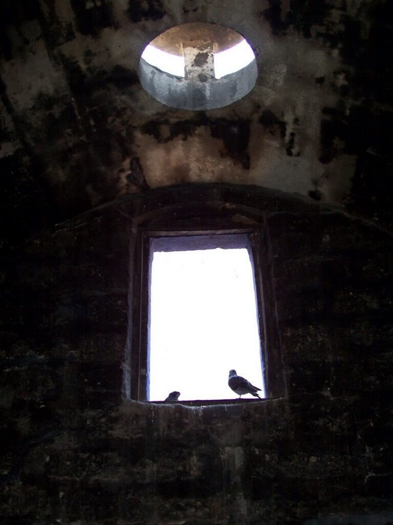 Birds at Santa Catalina Monastery, Arequipa, Peru